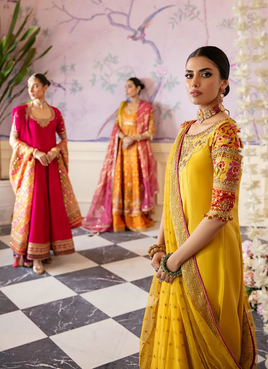 AQIQ KIWI KALIDAAR AND DRAPED DUPATTA