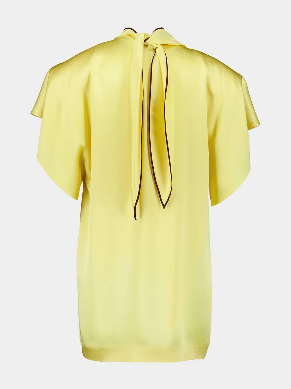 Chamomile Tie Neck Mini Dress